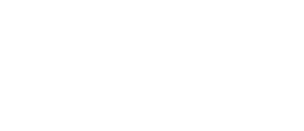 Community partner