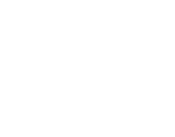 Kybernus